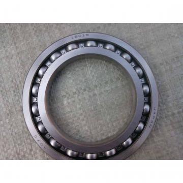 65 mm x 140 mm x 33 mm  fag  6313  Cylindrical Roller Bearings
