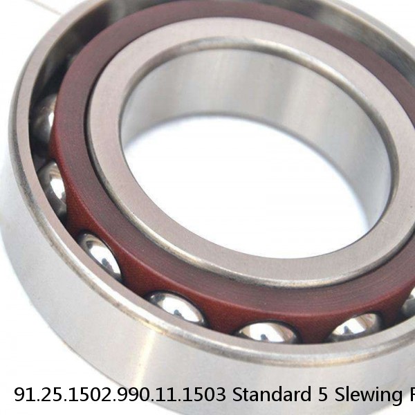 91.25.1502.990.11.1503 Standard 5 Slewing Ring Bearings