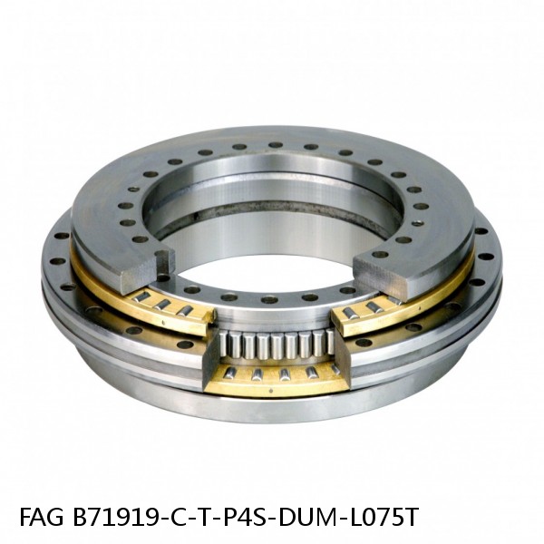B71919-C-T-P4S-DUM-L075T FAG precision ball bearings