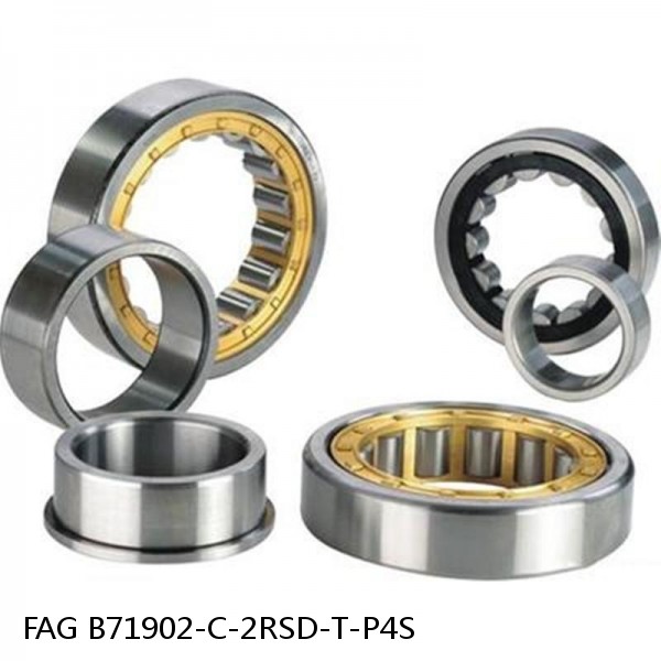 B71902-C-2RSD-T-P4S FAG high precision bearings