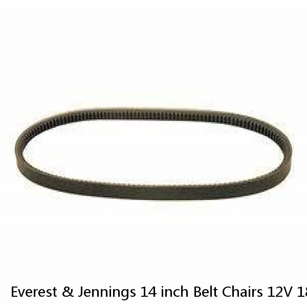 Everest & Jennings 14 inch Belt Chairs 12V 18Ah NB Replacement Battery