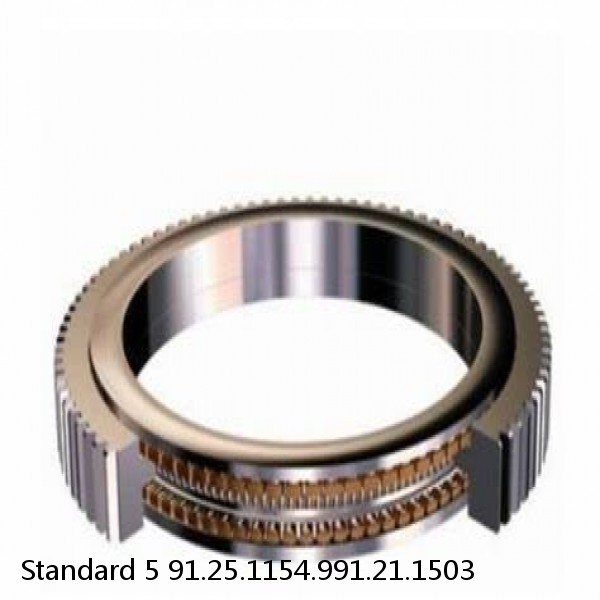 91.25.1154.991.21.1503 Standard 5 Slewing Ring Bearings