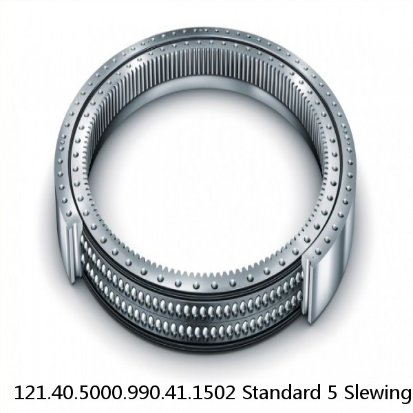 121.40.5000.990.41.1502 Standard 5 Slewing Ring Bearings #1 small image