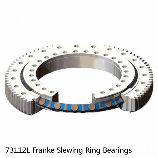 73112L Franke Slewing Ring Bearings