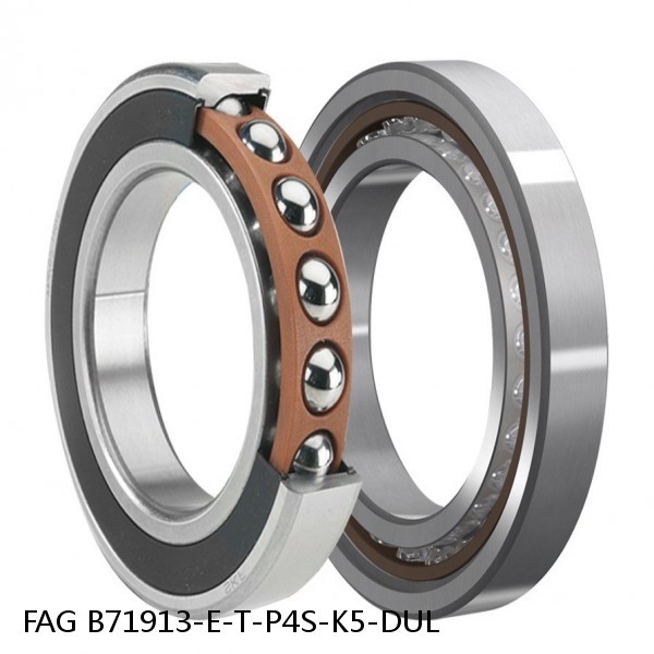 B71913-E-T-P4S-K5-DUL FAG precision ball bearings