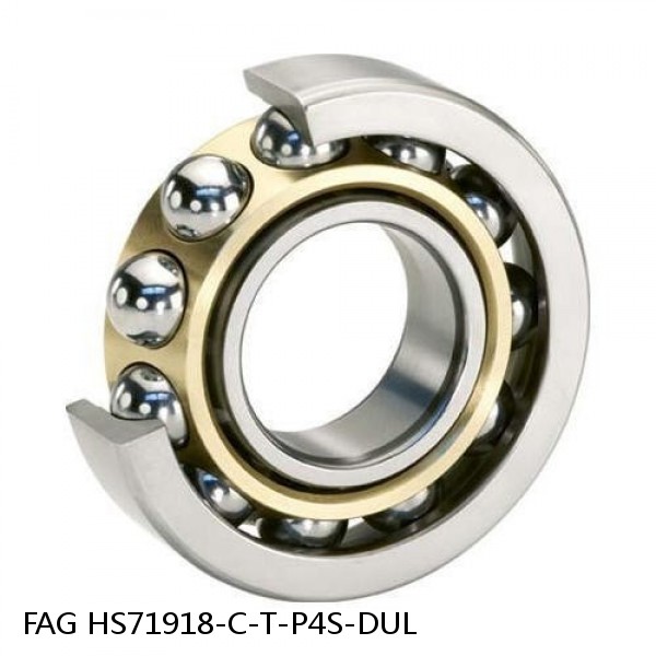 HS71918-C-T-P4S-DUL FAG precision ball bearings #1 small image