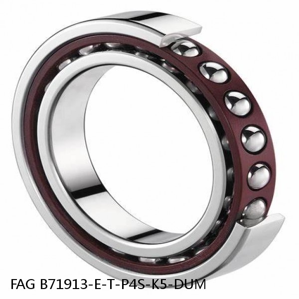 B71913-E-T-P4S-K5-DUM FAG high precision bearings