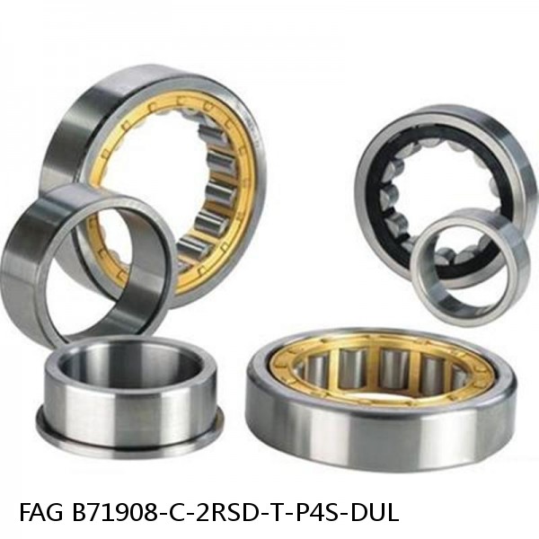 B71908-C-2RSD-T-P4S-DUL FAG high precision bearings