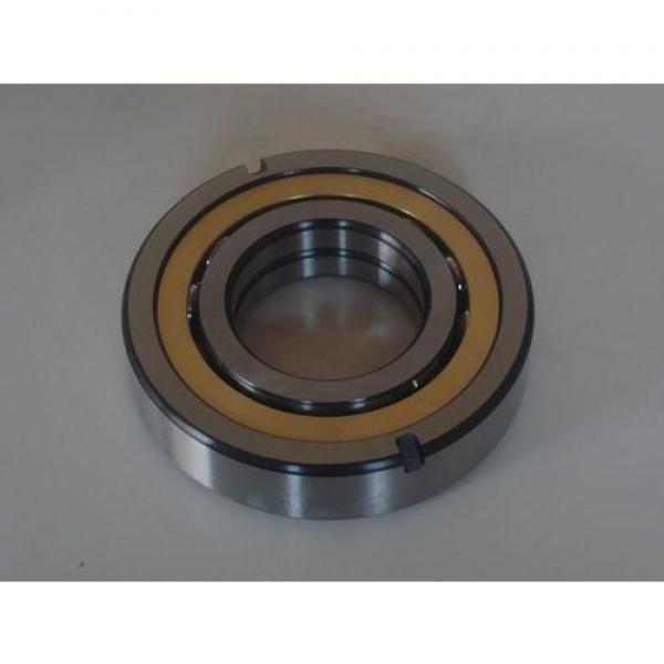 rsr 6006  Cylindrical Roller Bearings #2 image
