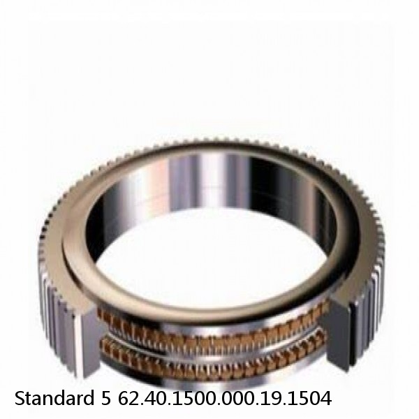 62.40.1500.000.19.1504 Standard 5 Slewing Ring Bearings #1 image