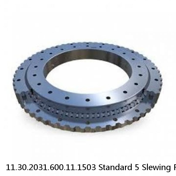 11.30.2031.600.11.1503 Standard 5 Slewing Ring Bearings #1 image