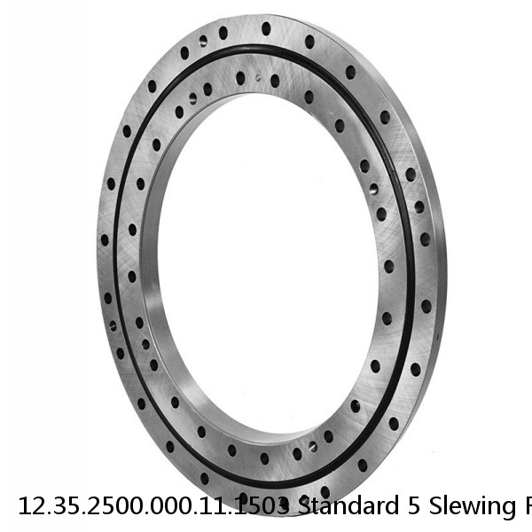 12.35.2500.000.11.1503 Standard 5 Slewing Ring Bearings #1 image