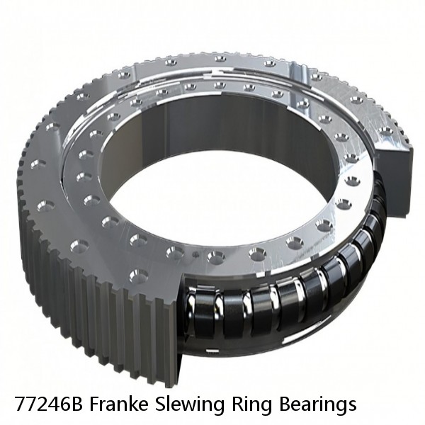 77246B Franke Slewing Ring Bearings #1 image