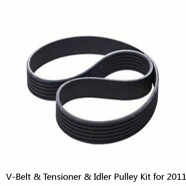 V-Belt & Tensioner & Idler Pulley Kit for 2011-2014 Hyundai Kia 2.0L 2.4L⭐⭐⭐⭐⭐ #1 image