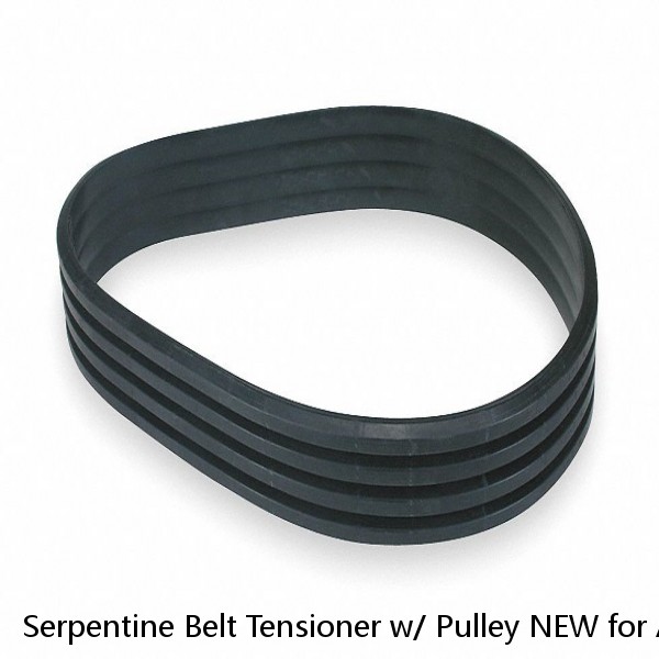 Serpentine Belt Tensioner w/ Pulley NEW for Audi A4 A6 S4 VW Passat V6 #1 image