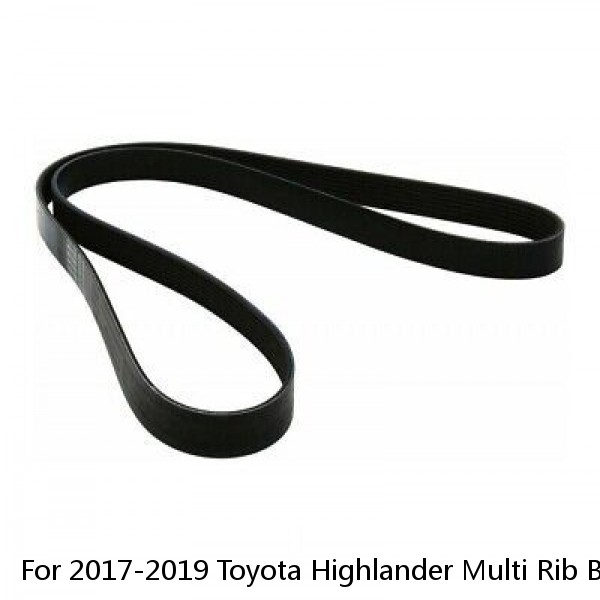 For 2017-2019 Toyota Highlander Multi Rib Belt Dayco 41667FS 2018 #1 image